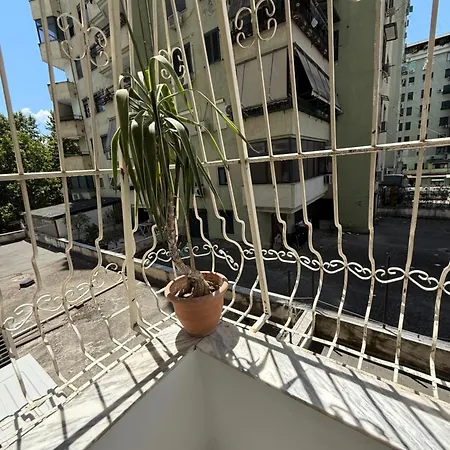 Dengu Luxury * Tirana